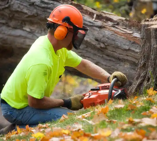 tree services Platte Woods